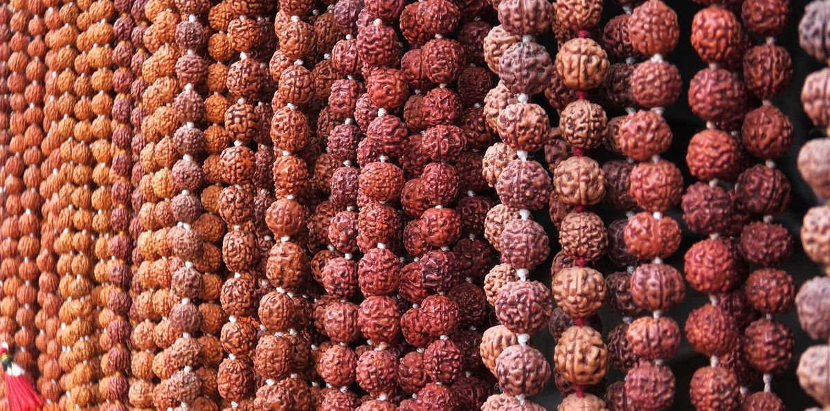Rudraksha