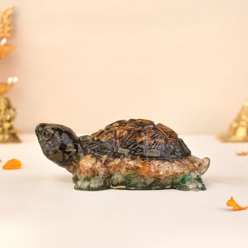 Tortoises Dhanyog